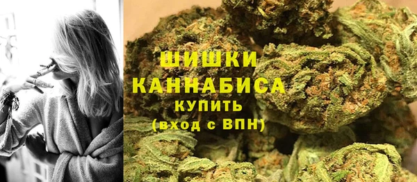 дживик Абаза