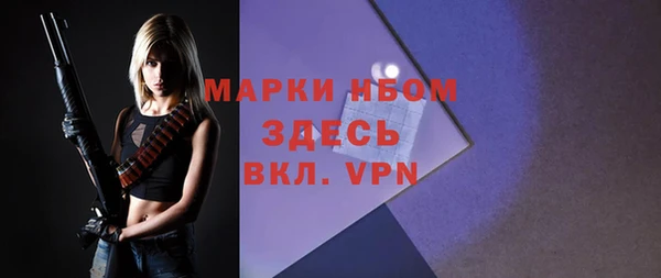 дживик Абаза
