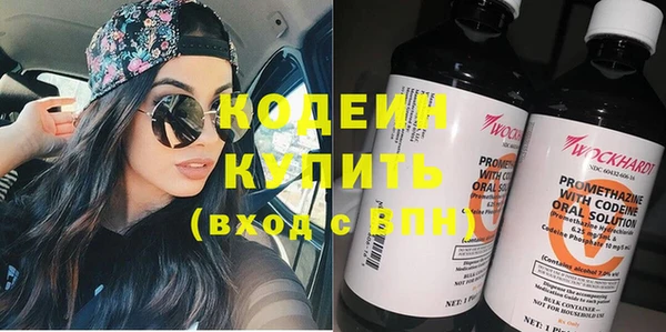 дживик Абаза