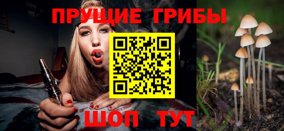 Галлюциногенные грибы Psilocybe Аксай